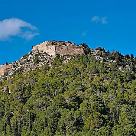 Panorama Daire Asos